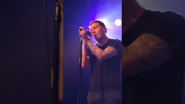 Smith & Myers - Amaryllis смотреть онлайн