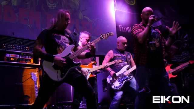 Eikon EKD9 on Stage with Robo смотреть онлайн