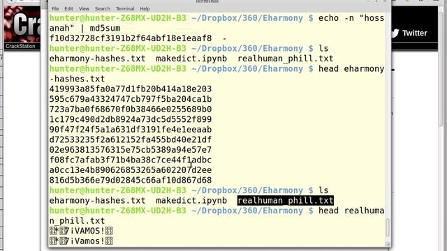 Dictionary Attack смотреть онлайн