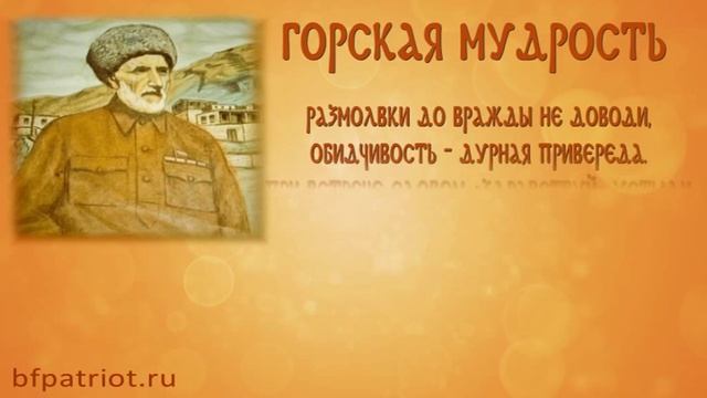 Гамзат Цадаса 9 смотреть онлайн