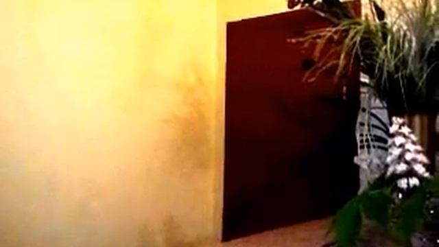 Пять девчонок в туалете!)