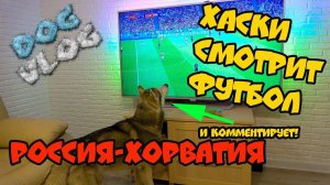 DOGVLOG: ХАСКИ СМОТРИТ ФУТБОЛ и комментирует матч РОССИЯ ХОРВАТИЯ. Говорящая собака