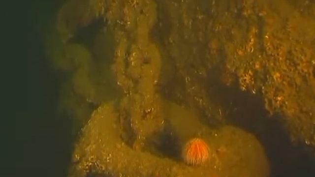 Scapa Flow. Episode One. (2007) - Скапа Флоу (2007)