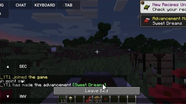 MINECRAFT JAVA 1.18 IP PORT #MINECRAFT смотреть онлайн