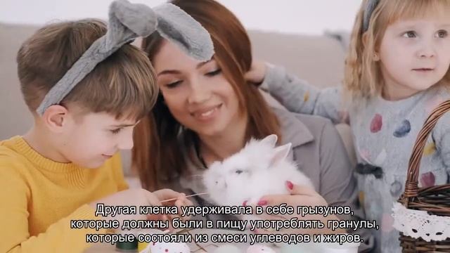 Чипсы и семечки вызывают настоящую зависимость смотреть онлайн