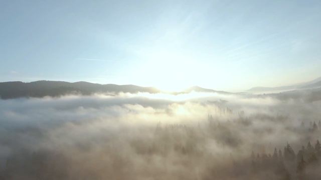 Dan Gibson’s Solitudes - Morning Light | Moose Country смотреть онлайн