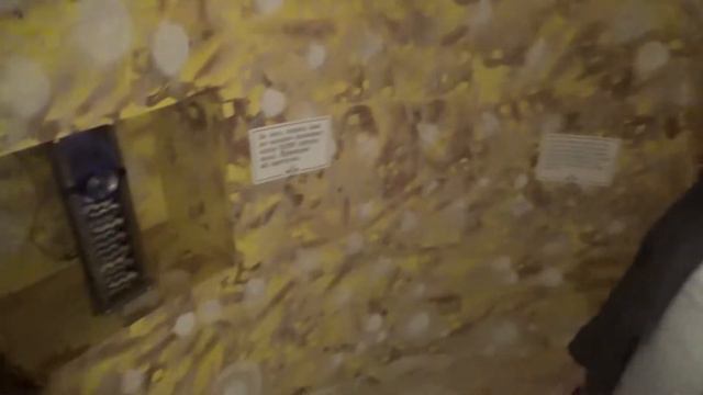 НЕВЕРОЯТНЫЕ ПРИКЛЮЧЕНИЯ ЗАПОРОЖЦЕВ В МОСКВЕ 4 ДЕНЬ смотреть онлайн