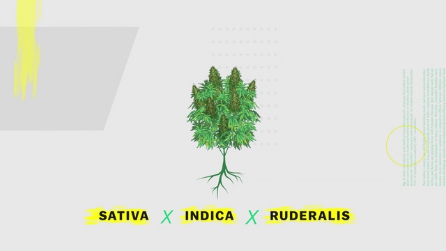 .S01E12. смотреть онлайн