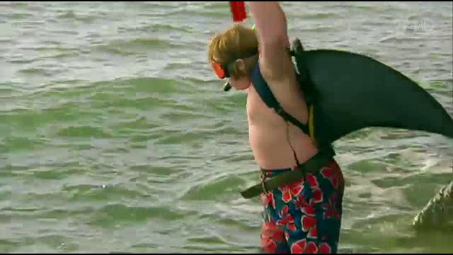 Ералаш 2015 Акула. смотреть онлайн