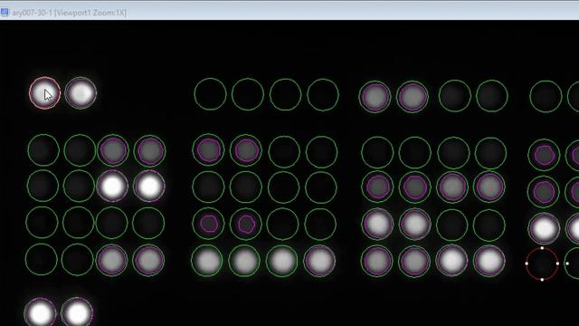 QuickSpots Spot Array Analysis Full Walkthrough смотреть онлайн