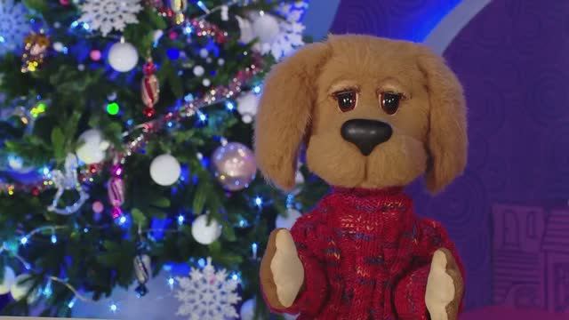 ✨Спокойной ночи, малыши✨ Загадки