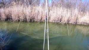 РЫБАЛКА на ПАУК |  НЕРЕСТ ЩУКИ в РУЧЬЕ | МНОГО ЩУКИ.