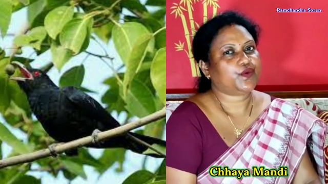 Baha Bonga Onodhe By Chhaya Mandi смотреть онлайн