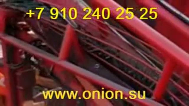 www.onion.su Уборка зеленого лука, уборка лука на перо смотреть онлайн