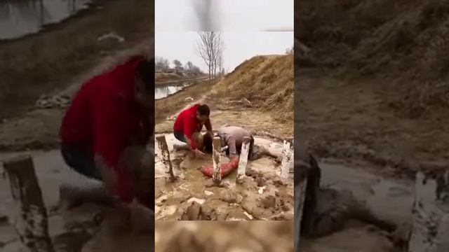 Игра для веселых!) смотреть онлайн