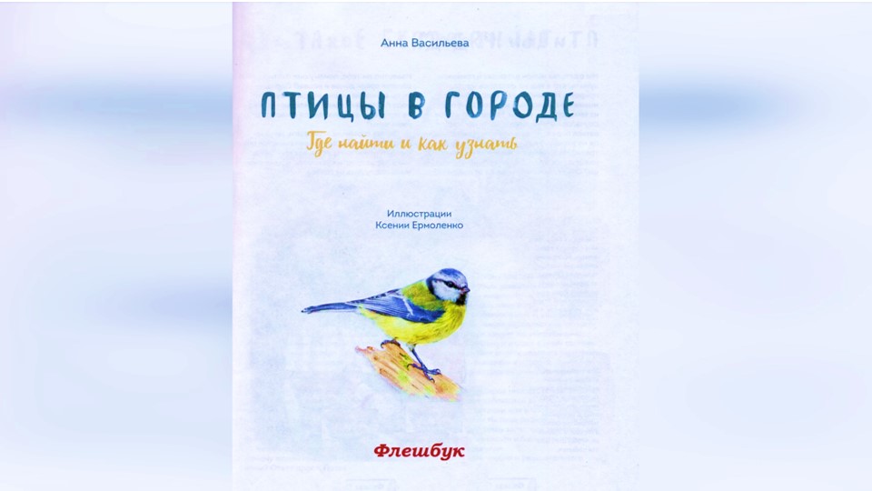 А Васильева «Птицы в городе. Где найти и как узнать» смотреть онлайн