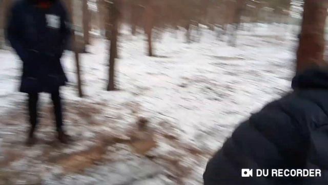 Страшные сны эпизод 2 смотреть онлайн