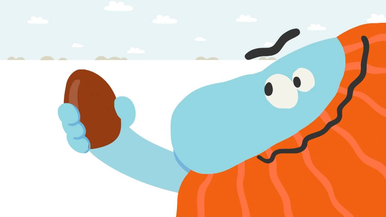 Бодо Бородо. Бокварь, 60 серия. Разнобуквицы смотреть онлайн