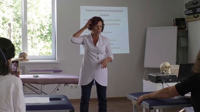 Анатомия Височная кость Череп Возрастные изменения Причины смотреть онлайн