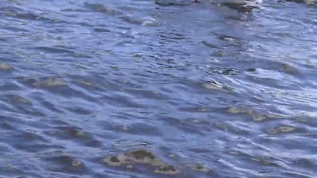 прот. Тундрино ( Щука 5 кг) смотреть онлайн