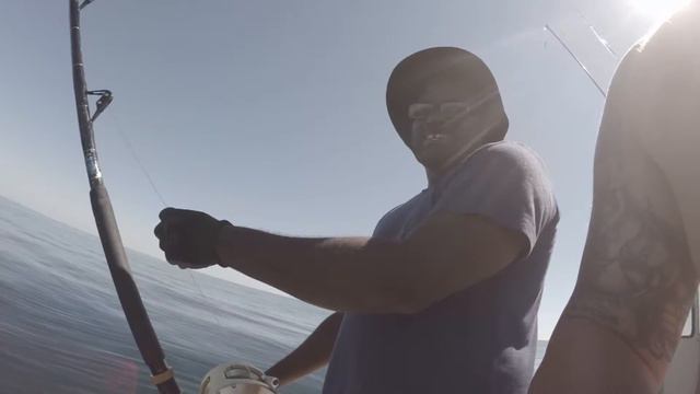 SHARK week cut 2! crack kills!! смотреть онлайн