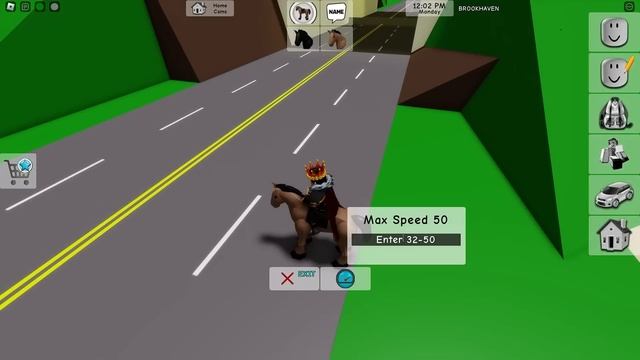 5 САМЫХ ТУПЫХ секретов в Брукхейвен РП Роблокс. Странные секреты в Brookhaven RP Roblox смотреть онлайн