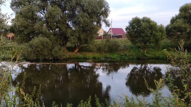 Музыка для расслабления,души, спокойствия, релакса, лечебная. Классика. смотреть онлайн