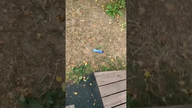 Отдых на горном курорте с детьми, друзьями, семьей.