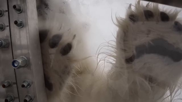 15 Times Where The Glass Was ALMOST Not Strong Enough! смотреть онлайн