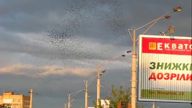 Дневной дозор смотреть онлайн