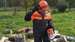 Заготовка дров при помощи профессиональной пилы Stihl  MS 361 и бытовой пилы Homelite HCS 4041 CA.