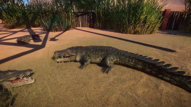 Planet Zoo Saltwater Crocodile Hunting -The Mexican Conservation Park смотреть онлайн