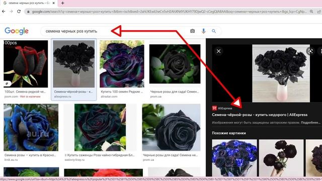СМОТРЕТЬ ВСЕМ – КАК НАС ОБМАНЫВАЮТ