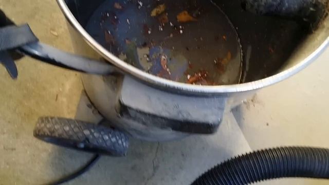 How to get rid of fleas in 10 Mins for Cheap смотреть онлайн