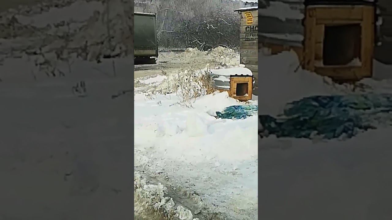 24 декабря 2023 г.