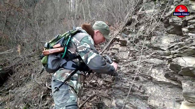 Окаменелые кораллы Учан Су смотреть онлайн