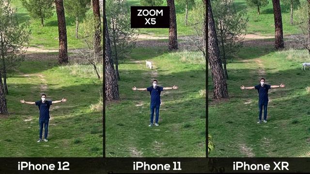 iPhone 12 vs iPhone 11 vs iPhone XR - TEST de CAMARA 📷 смотреть онлайн