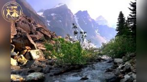 Очень Красивая Песня Руслан Ахмадов💖🔊Ц1ена бу хьоменаг хьоьга са бахна безам💖🔊