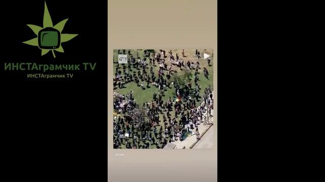 Барбара ПИНО Как ОНА укладывает МОКРЫЕ ВОЛОСЫ смотреть онлайн