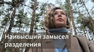 Наивысший #замысел разделения