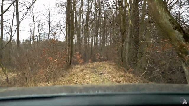 Suzuki Vitara - Off-Road Forest - Journal Entry 2 смотреть онлайн