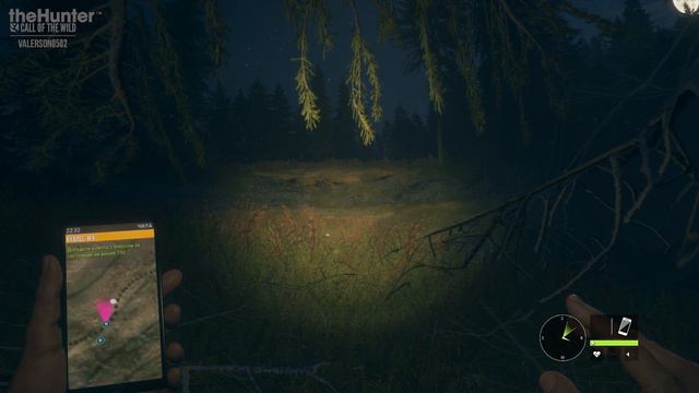 TheHunter_COTW_009_Вуалес#04