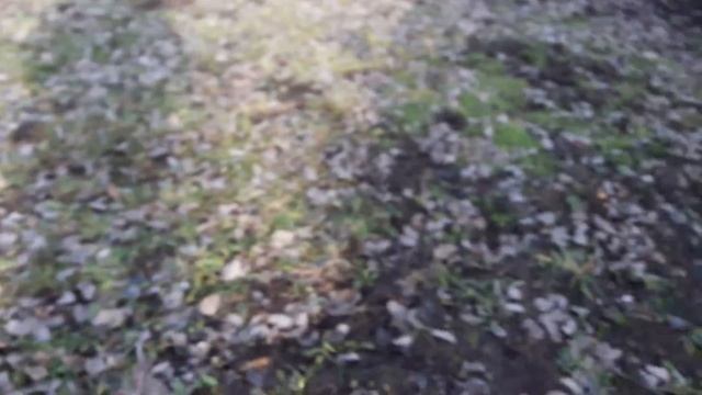 Китайская болгарка Makita за 50