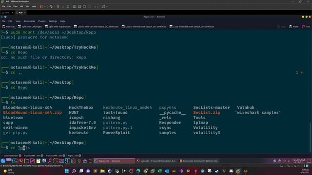 Infiltrating Tech Support Scammers | TryHackMe Tech_Support
