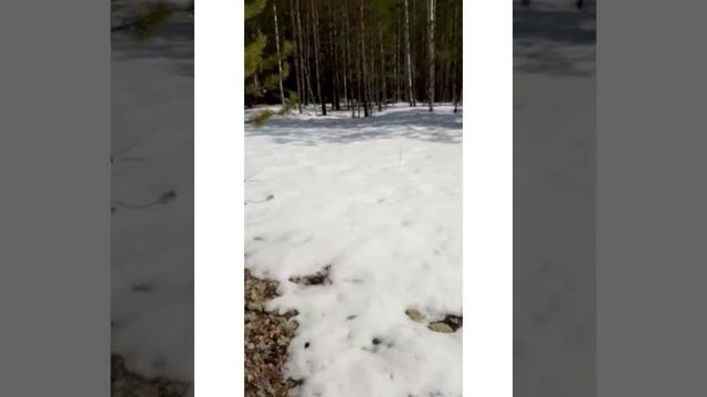 Дорога к озеру, видео нашего заказчика, спасибо Виктор. смотреть онлайн