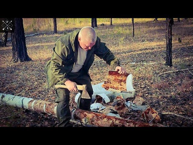 Береста горит шикарно . Заготовка бересты. Бобровая плотина смотреть онлайн
