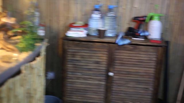 Сад тропический бабочек, Краснодар 15 июля 2015 смотреть онлайн