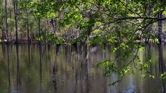 Опять душа с другой душой I Люби, страдай и умирай! смотреть онлайн