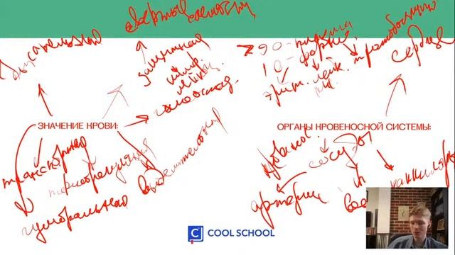 Эволюция кровеносной системы | Биология ЕГЭ | Cool School смотреть онлайн