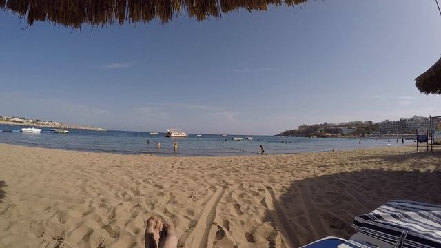 Погода в Египте в ноябре. Шарм эль Шейх смотреть онлайн